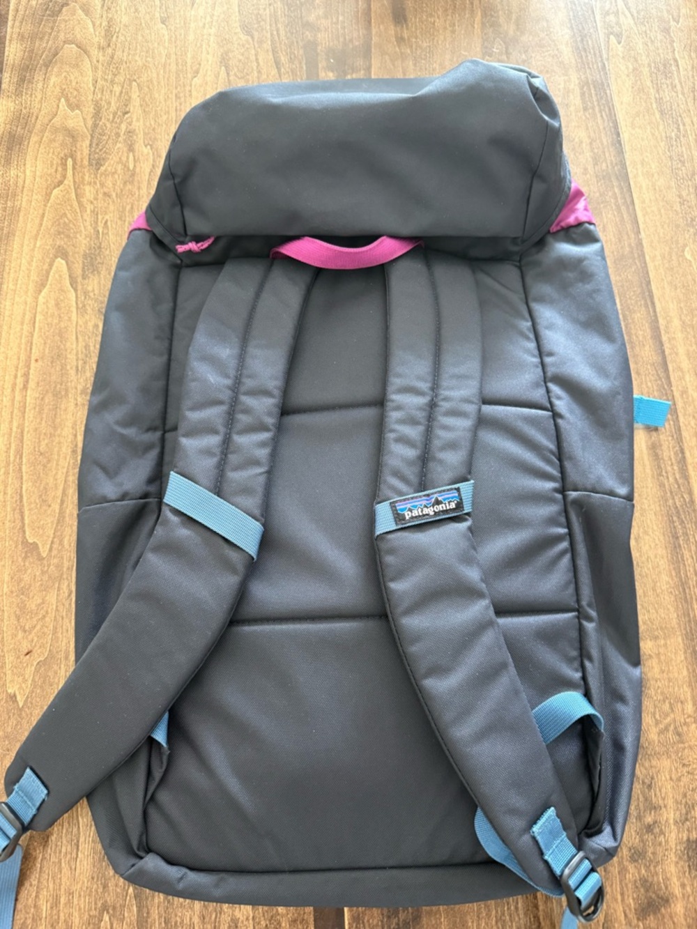 Patagonia backpack - Picture 2 of 4